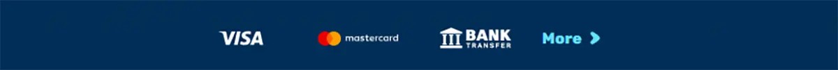 Payment methods bar featuring Visa, Mastercard, and bank transfer icons, with a “More” option for additional methods, displayed on a clean blue background
