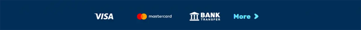Payment methods bar featuring Visa, Mastercard, and bank transfer icons, with a “More” option for additional methods, displayed on a clean blue background