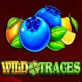 Wild Traces by Amusnet Interactive, showcased at spinfin.eu – game logo